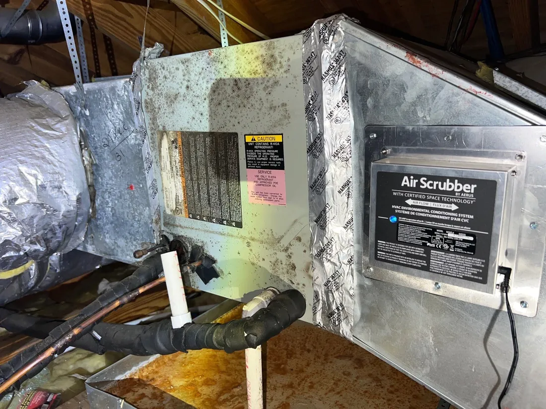 Mold growth discovered during a building science assessment