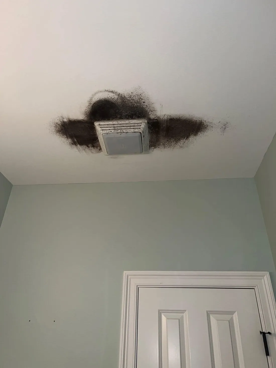 Mold staining and moisture damage documented during an assessment