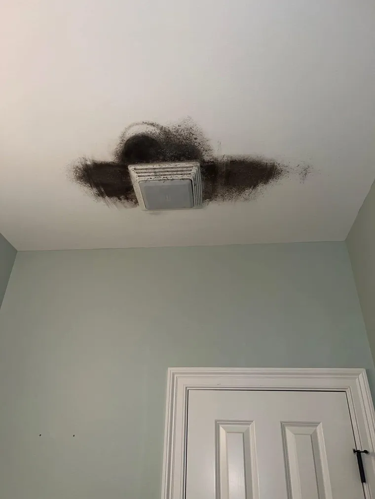 Ceiling supply vent with visible mold growth around the register
