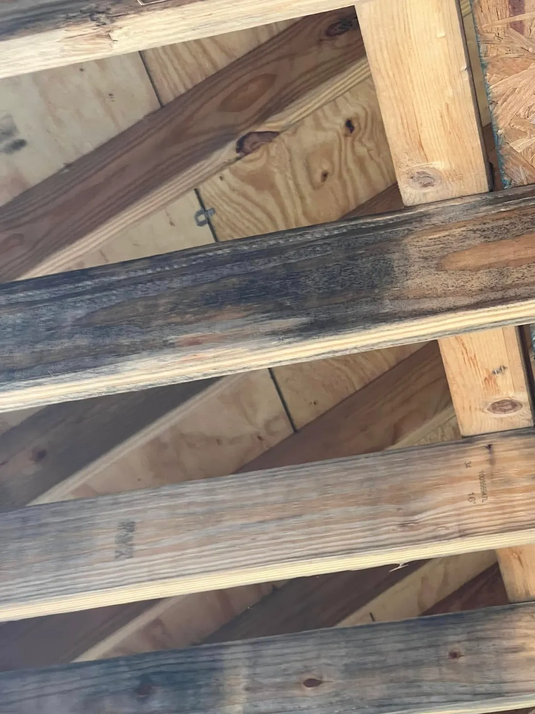 Mold conditions identified during a home assessment